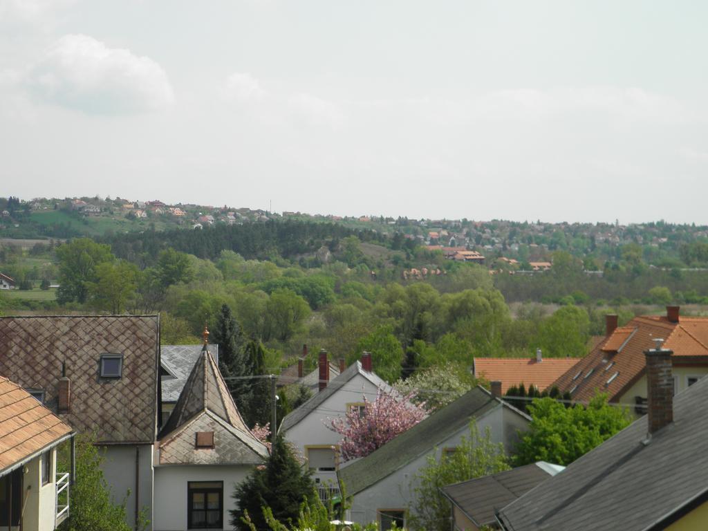 Kristaly Apartman Heviz Bagian luar foto
